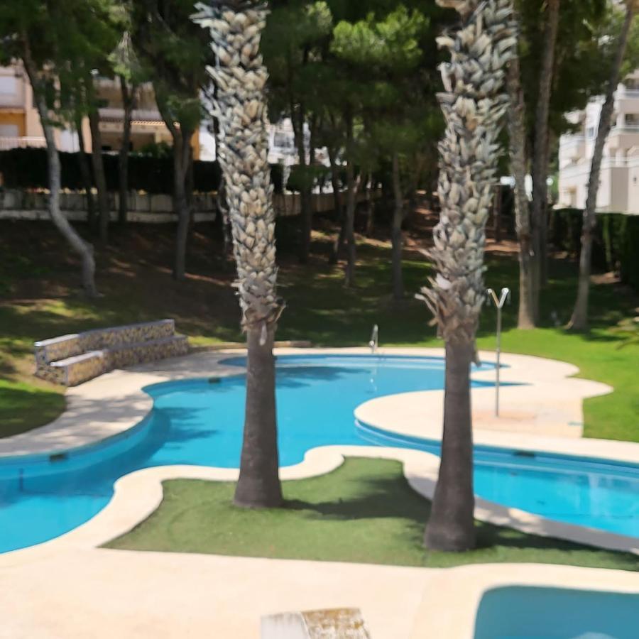 Apartamento Ines, Dehesa De Campoamor,900M From The Sea , Swimming Pool & Tennis Court Exteriör bild
